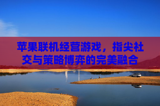 苹果联机经营游戏，指尖社交与策略博弈的完美融合
