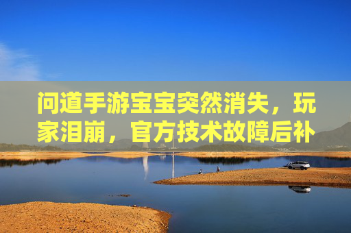 问道手游宝宝突然消失，玩家泪崩，官方技术故障后补偿方案引期待