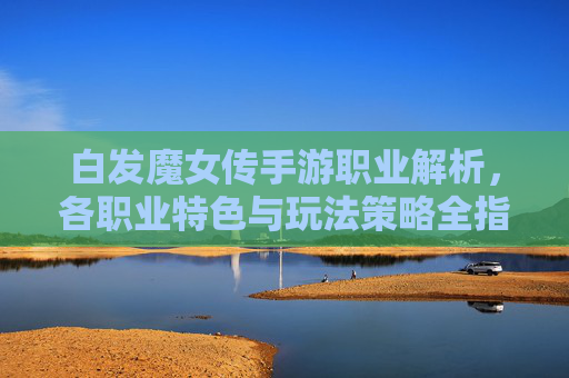 白发魔女传手游职业解析，各职业特色与玩法策略全指南