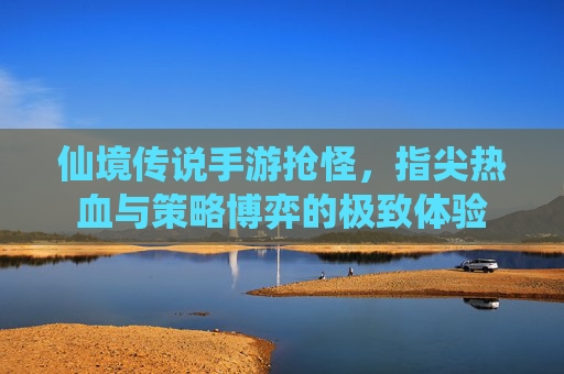 仙境传说手游抢怪,指尖热血与策略博弈的极致体验