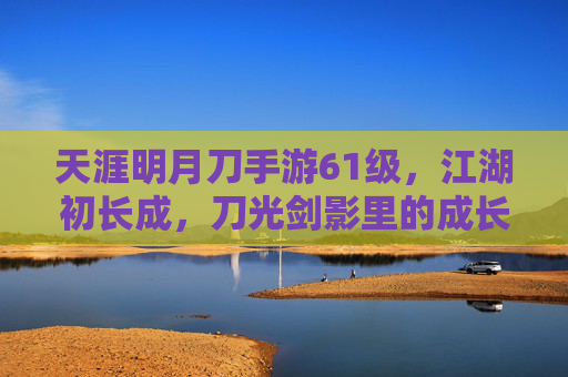 天涯明月刀手游61级，江湖初长成，刀光剑影里的成长印记，天涯明月刀手游61级，江湖初长成，刀光剑影里的成长印记