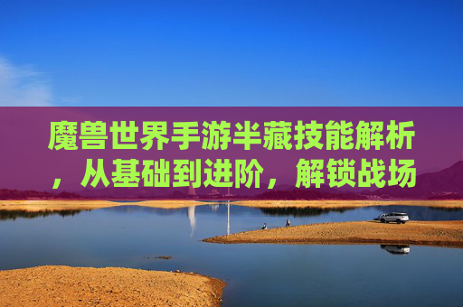 魔兽世界手游半藏技能解析,从基础到进阶,解锁战场新玩法,魔兽世界手游半藏技能解析,从基础到进阶,解锁战场新玩法
