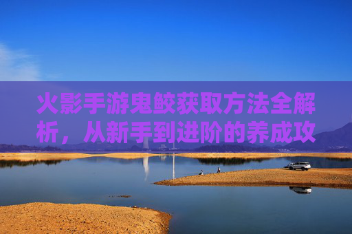 火影手游鬼鲛获取方法全解析，从新手到进阶的养成攻略，火影手游鬼鲛获取方法全解析，从新手到进阶的养成攻略