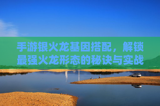 手游银火龙基因搭配,解锁最强火龙形态的秘诀与实战指南,手游银火龙基因搭配,解锁最强火龙形态的秘诀与实战指南