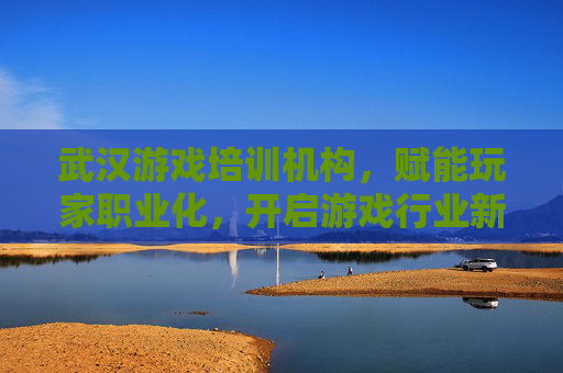 武汉游戏培训机构，赋能玩家职业化，开启游戏行业新机遇，武汉游戏培训机构，赋能玩家职业化，开启游戏行业新机遇