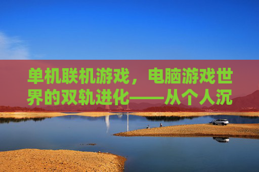 单机联机游戏，电脑游戏世界的双轨进化——从个人沉浸到社交协作的体验变革