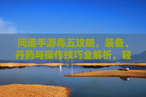 问道手游毒五攻略，装备、丹药与操作技巧全解析，轻松提升毒五效果