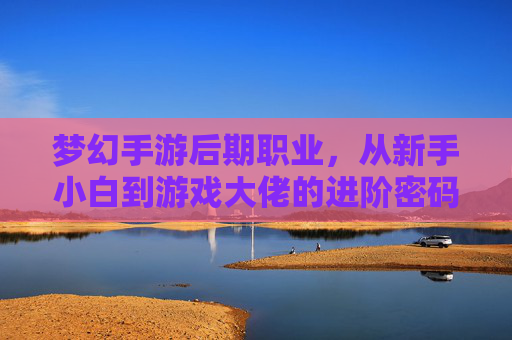 梦幻手游后期职业，从新手小白到游戏大佬的进阶密码——职业选择与成长路径深度解析，梦幻手游后期职业，从新手小白到游戏大佬的进阶密码——职业选择与成长路径深度解析
