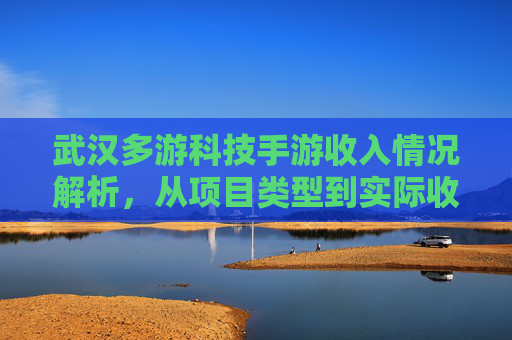 武汉多游科技手游收入情况解析，从项目类型到实际收益的深度洞察，武汉多游科技手游收入情况解析，从项目类型到实际收益的深度洞察