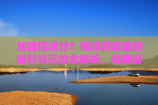 加微信送分？棋牌游戏里的福利与风险全解析，棋牌游戏加微信送分？福利与风险全解析
