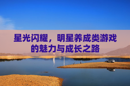 星光闪耀，明星养成类游戏的魅力与成长之路