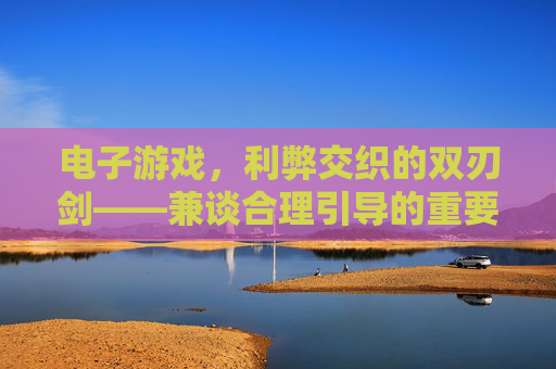 电子游戏，利弊交织的双刃剑——兼谈合理引导的重要性，电子游戏，利弊交织的双刃剑——兼谈合理引导的重要性