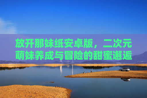 放开那妹纸安卓版，二次元萌妹养成与冒险的甜蜜邂逅——轻松玩转萌系策略与角色互动
