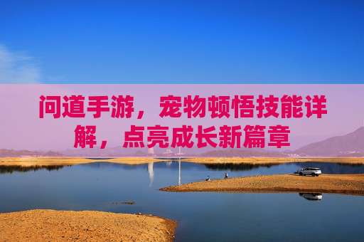 问道手游，宠物顿悟技能详解，点亮成长新篇章