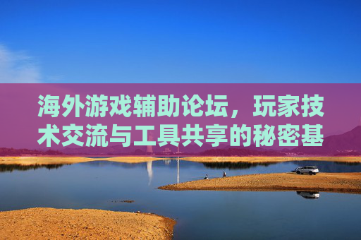 海外游戏辅助论坛,玩家技术交流与工具共享的秘密基地——技术、社区与游戏辅助的深度探索