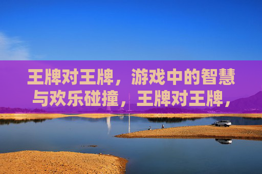 王牌对王牌，游戏中的智慧与欢乐碰撞，王牌对王牌，游戏中的智慧与欢乐碰撞