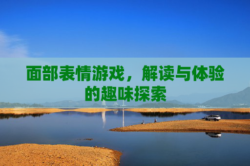 面部表情游戏，解读与体验的趣味探索