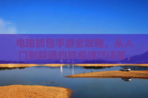 电脑抓包手游全攻略，从入门到精通的抓包技巧详解，电脑抓包手游全攻略，从入门到精通的抓包技巧详解