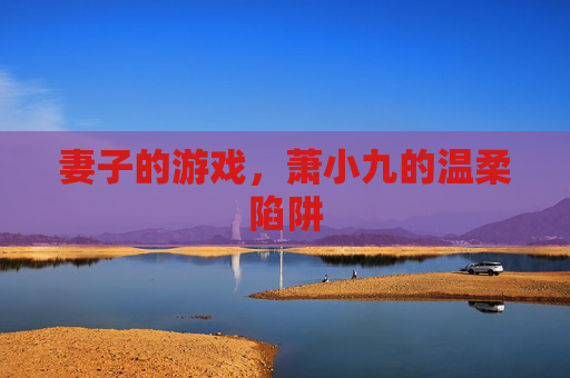 妻子的游戏，萧小九的温柔陷阱