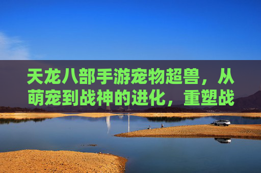 天龙八部手游宠物超兽，从萌宠到战神的进化，重塑战斗体验，天龙八部手游宠物超兽，从萌宠到战神的进化，重塑战斗体验