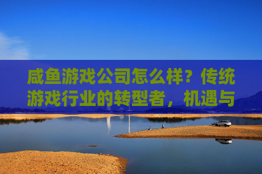 咸鱼游戏公司怎么样？传统游戏行业的转型者，机遇与挑战并存，咸鱼游戏，传统游戏行业的转型者，机遇与挑战并存