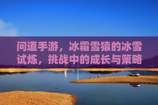 问道手游,冰霜雪猿的冰雪试炼,挑战中的成长与策略,问道手游,冰霜雪猿冰雪试炼,挑战中的成长与策略解析