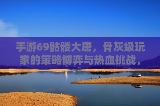 手游69骷髅大唐，骨灰级玩家的策略博弈与热血挑战，手游69骷髅大唐，骨灰级玩家的策略博弈与热血挑战