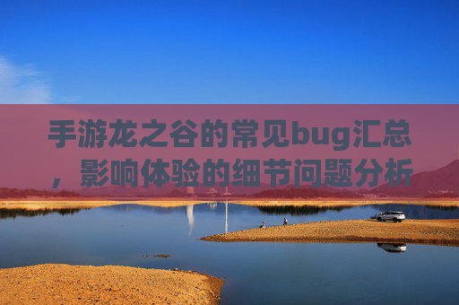 手游龙之谷的常见bug汇总，影响体验的细节问题分析与应对策略，手游龙之谷常见bug汇总，影响体验的细节问题分析与应对策略