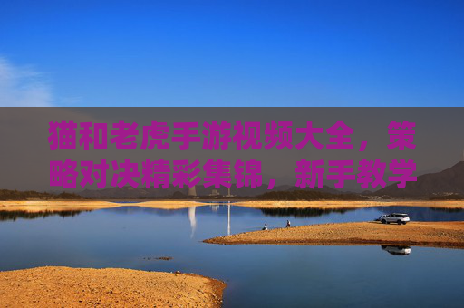猫和老虎手游视频大全，策略对决精彩集锦，新手教学与高手技巧视频合集，猫和老虎手游视频大全，策略对决精彩集锦，新手教学与高手技巧视频合集