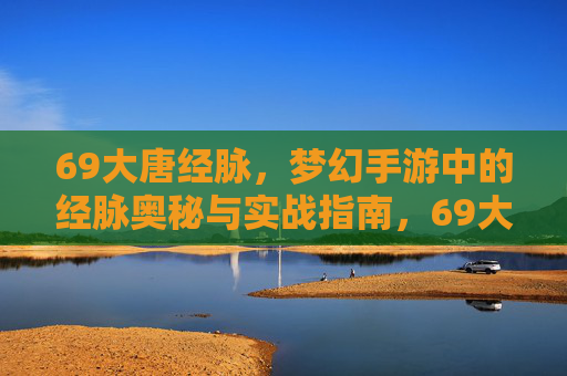 69大唐经脉,梦幻手游中的经脉奥秘与实战指南,69大唐经脉,梦幻手游经脉奥秘与实战指南