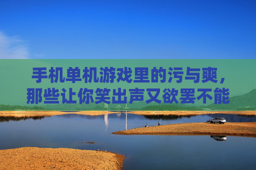 手机单机游戏里的污与爽,那些让你笑出声又欲罢不能的小污游戏