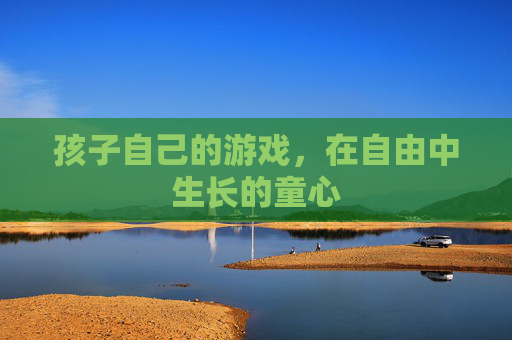 孩子自己的游戏,在自由中生长的童心