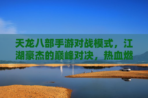 天龙八部手游对战模式，江湖豪杰的巅峰对决，热血燃情的不夜之巅