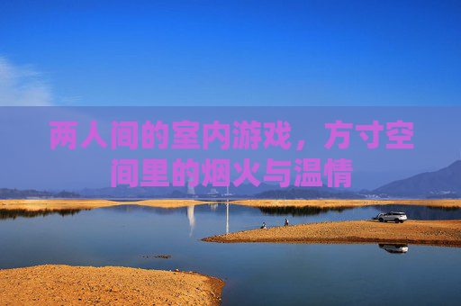 两人间的室内游戏,方寸空间里的烟火与温情