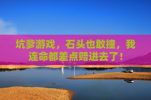 坑爹游戏，石头也敢撞，我连命都差点赔进去了！