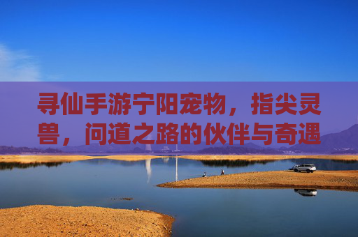 寻仙手游宁阳宠物,指尖灵兽,问道之路的伙伴与奇遇,寻仙手游宁阳宠物,指尖灵兽,问道之路的伙伴与奇遇