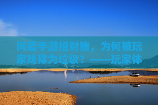 问道手游招财猪，为何被玩家戏称为垃圾？——玩家体验与游戏设计的反思，问道手游招财猪，为何被玩家戏称为垃圾？——玩家体验与游戏设计的反思