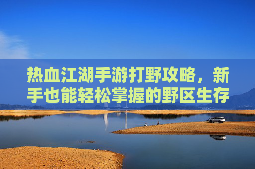 热血江湖手游打野攻略,新手也能轻松掌握的野区生存与收益技巧,热血江湖手游打野攻略,新手野区生存与收益技巧全解析