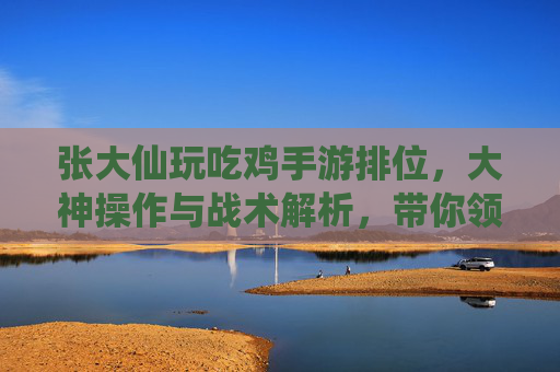 张大仙玩吃鸡手游排位,大神操作与战术解析,带你领略巅峰竞技魅力,张大仙玩吃鸡手游排位,大神操作与战术解析,巅峰竞技魅力全解析