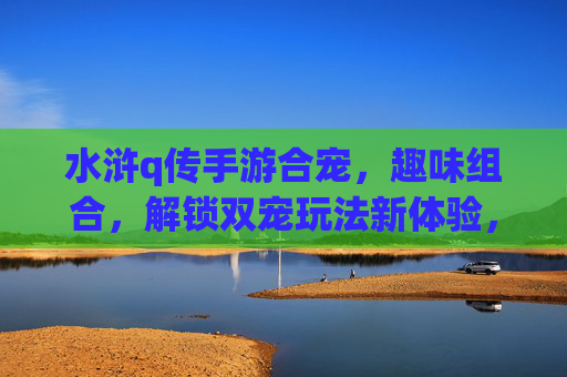 水浒q传手游合宠，趣味组合，解锁双宠玩法新体验，水浒Q传手游合宠，趣味组合，解锁双宠玩法新体验