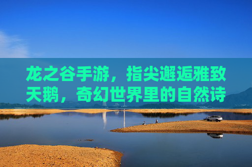 龙之谷手游,指尖邂逅雅致天鹅,奇幻世界里的自然诗篇