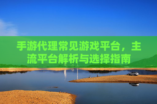 手游代理常见游戏平台，主流平台解析与选择指南