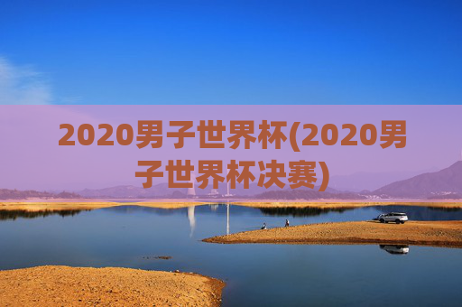 2020男子世界杯(2020男子世界杯决赛)