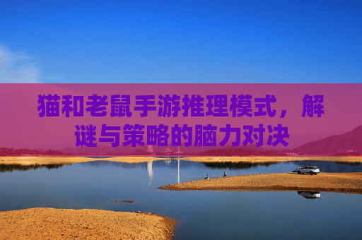 猫和老鼠手游推理模式,解谜与策略的脑力对决