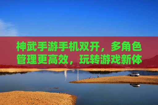 神武手游手机双开，多角色管理更高效，玩转游戏新体验