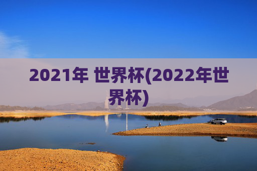 2021年 世界杯(2022年世界杯)