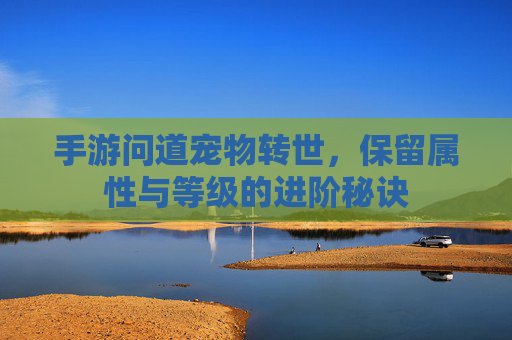 手游问道宠物转世,保留属性与等级的进阶秘诀