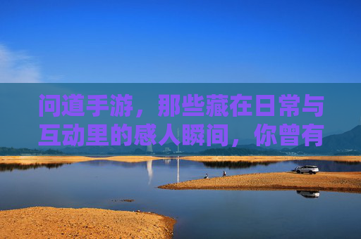 问道手游,那些藏在日常与互动里的感人瞬间,你曾有过怎样的回忆?问道手游,日常与互动里的感人瞬间,你曾有过怎样的回忆?