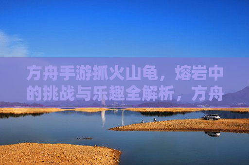 方舟手游抓火山龟，熔岩中的挑战与乐趣全解析，方舟手游抓火山龟，熔岩中的挑战与乐趣全解析
