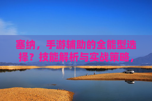 塞纳，手游辅助的全能型选择？技能解析与实战策略，塞纳，手游辅助的全能型选择？技能解析与实战策略